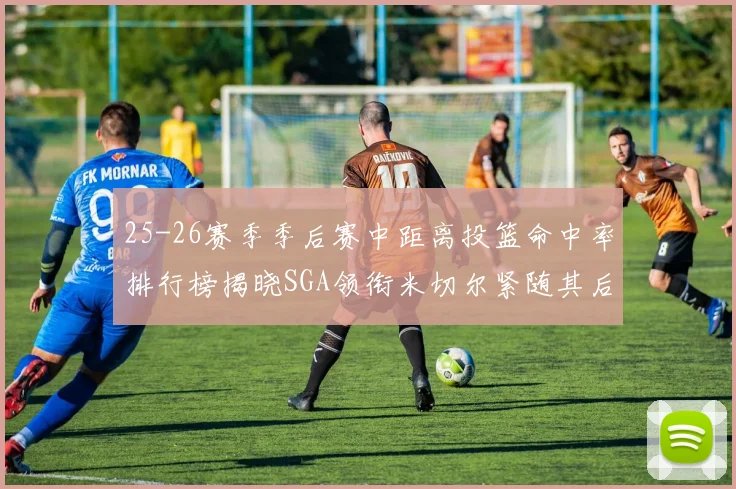 25-26赛季季后赛中距离投篮命中率排行榜揭晓SGA领衔米切尔紧随其后哈登位列第五