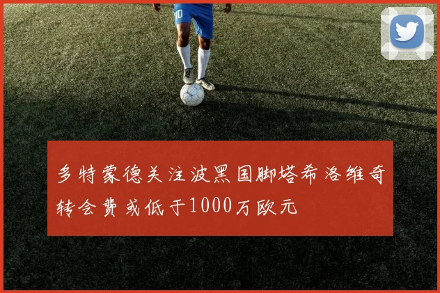 多特蒙德关注波黑国脚塔希洛维奇转会费或低于1000万欧元