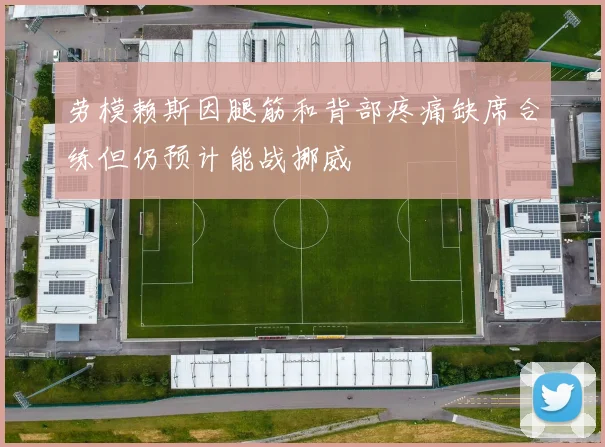 劳模赖斯因腿筋和背部疼痛缺席合练但仍预计能战挪威